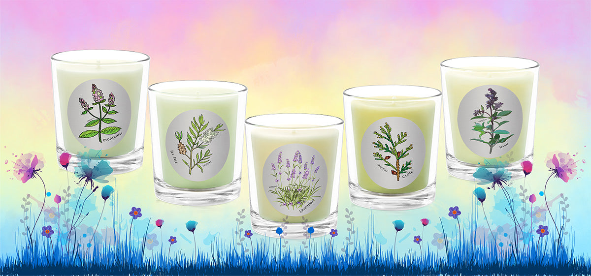 Insect repellent_Beeswax Candles _ 70% Off Collection