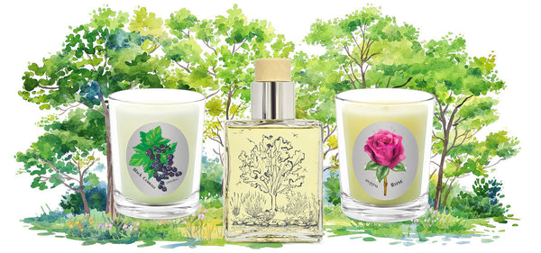 Spring Clearance