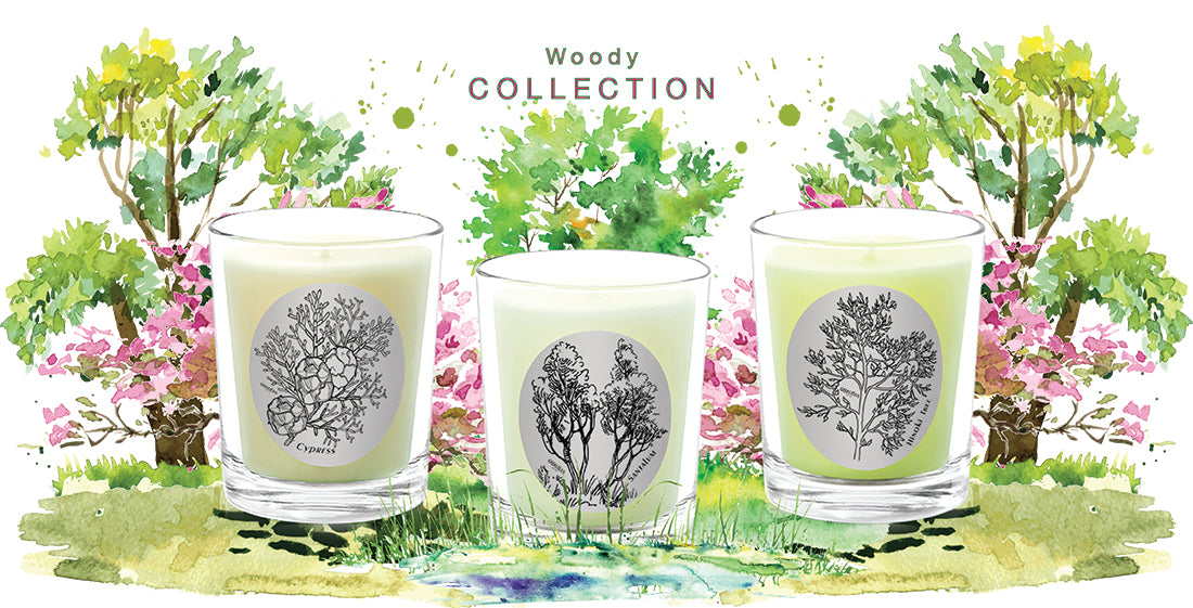 Woody Collection