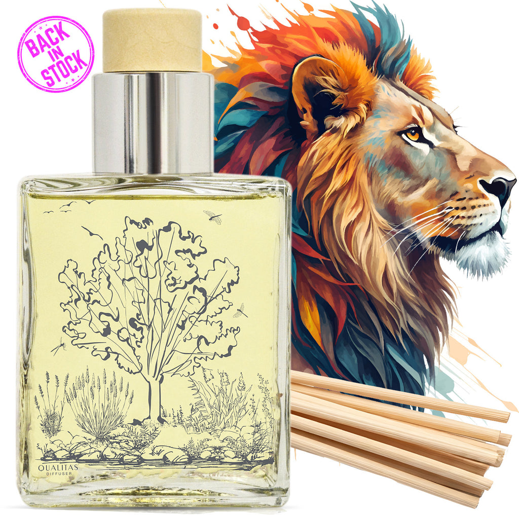 18 Library Way - Home Fragrance Reed Diffuser