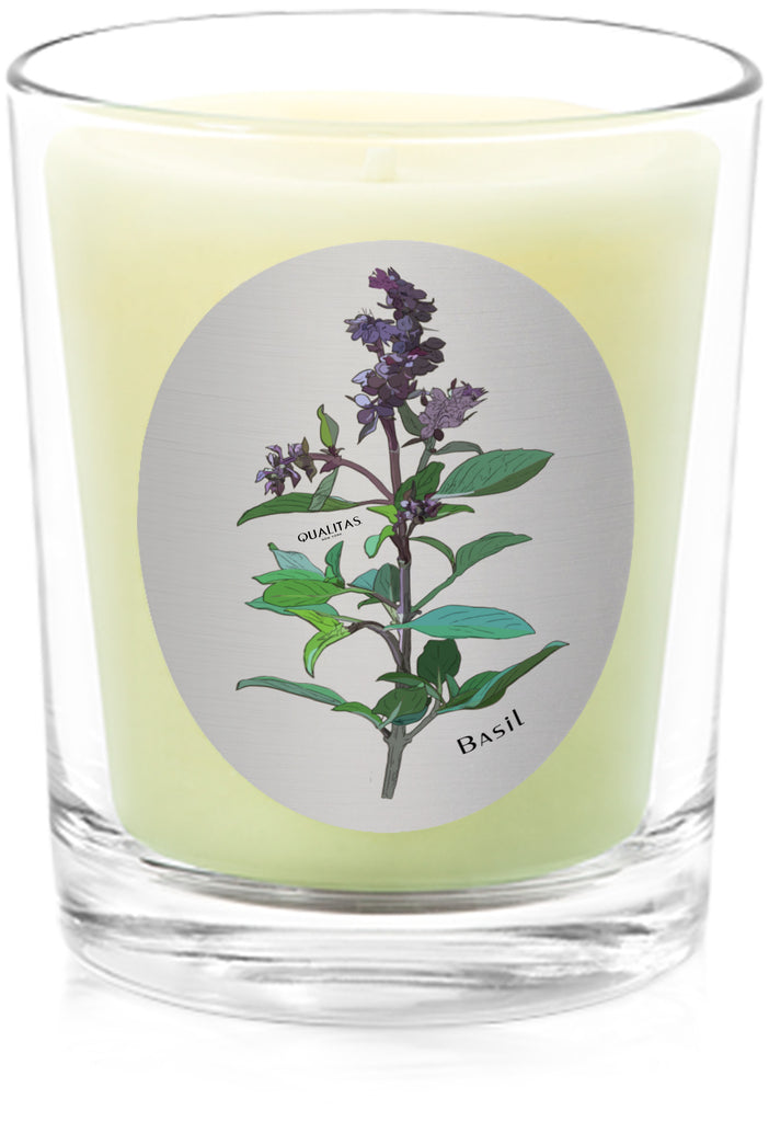 Basil - Insect Repellent