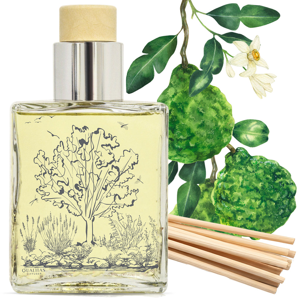 Bergamot - Home Fragrance Reed Diffuser