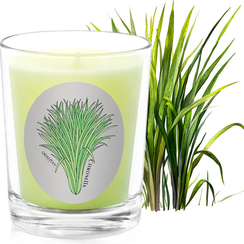 Citronella - Insect Repellent