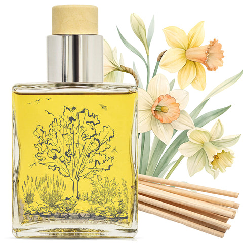 Daffodil - Home Fragrance Reed Diffuser