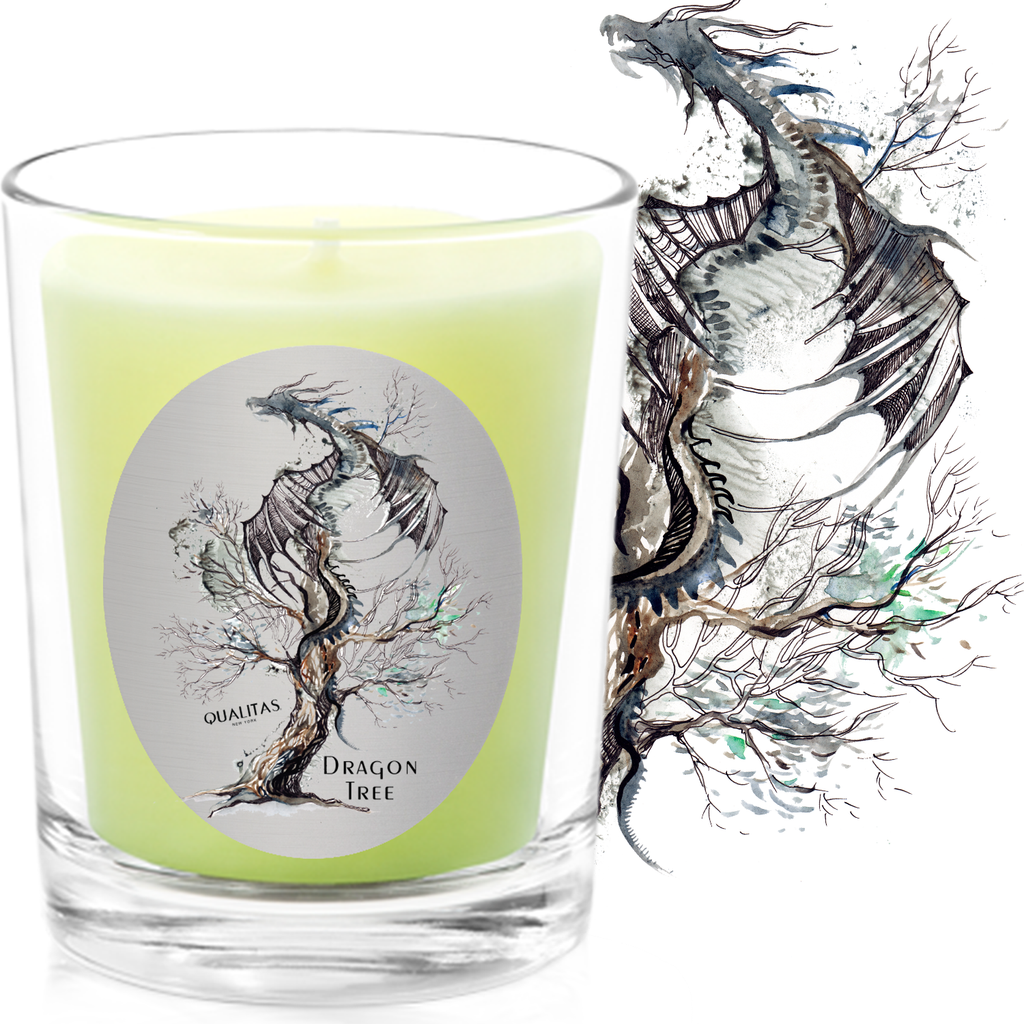Dragon Tree