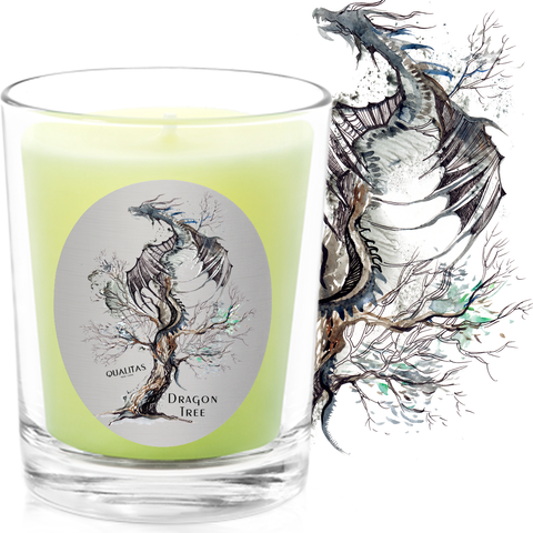 Dragon Tree