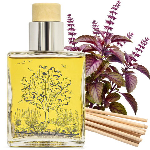 Holy Basil - Home Fragrance Reed Diffuser