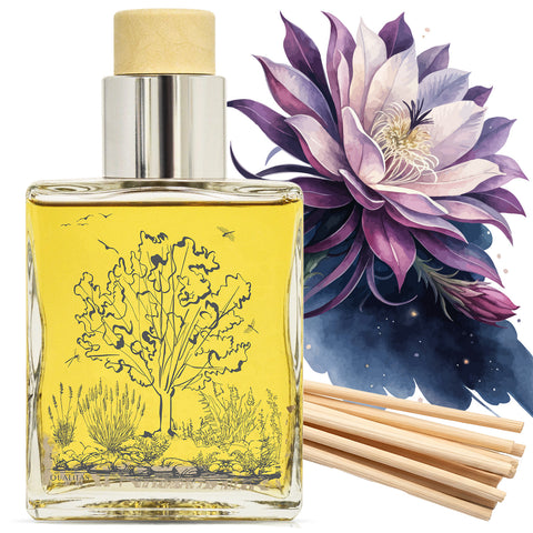 Night Bloom - Home Fragrance Reed Diffuser
