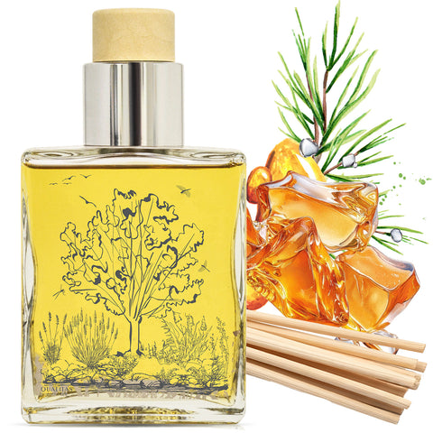 Amber - Home Fragrance Reed Diffuser