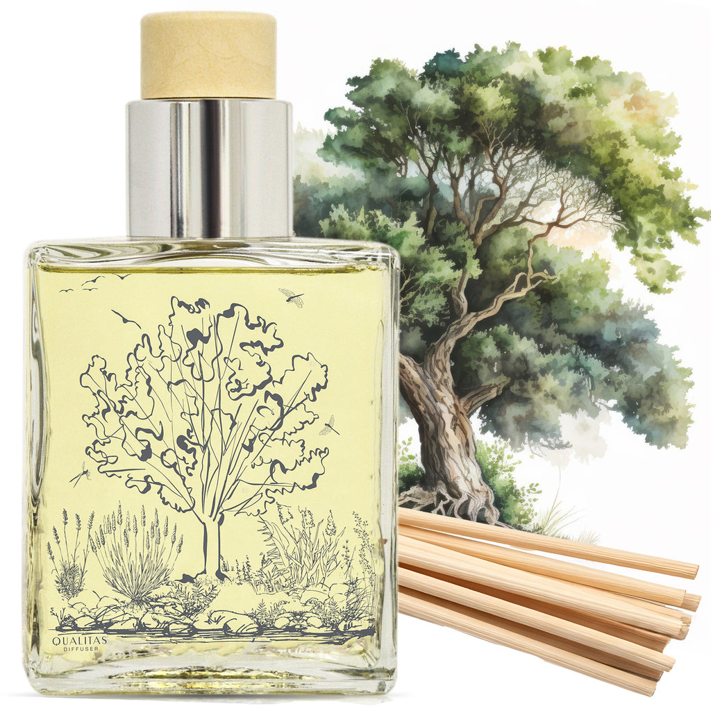 Oud - Home Fragrance Reed Diffuser