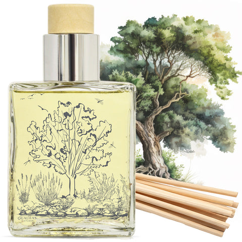 Oud - Home Fragrance Reed Diffuser