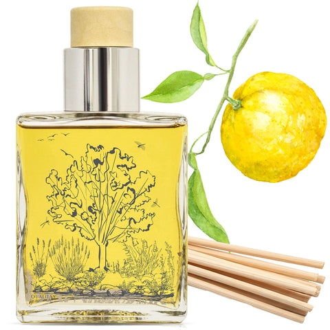 Yuzu - Home Fragrance Reed Diffuser