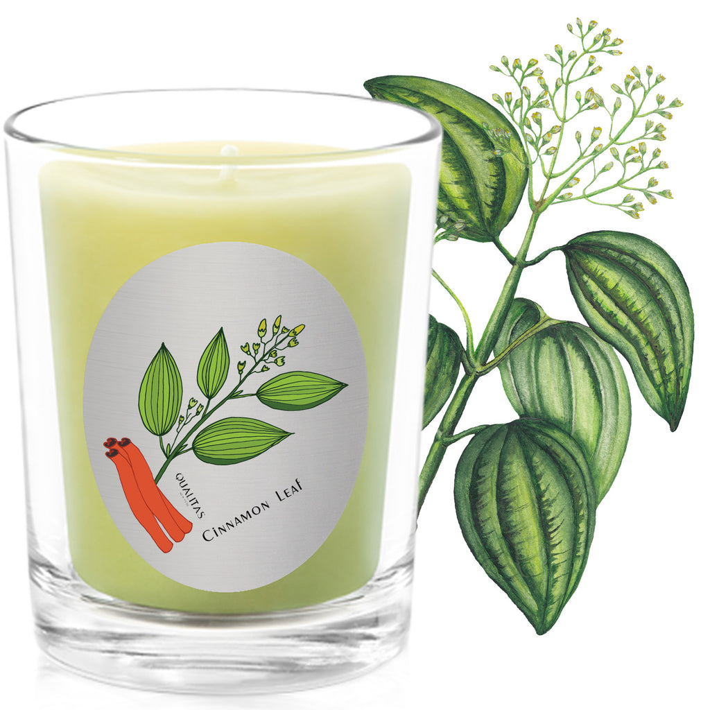 Cinnamon Leaf - insect repellent