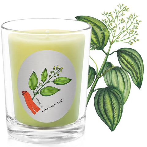 Cinnamon Leaf - insect repellent