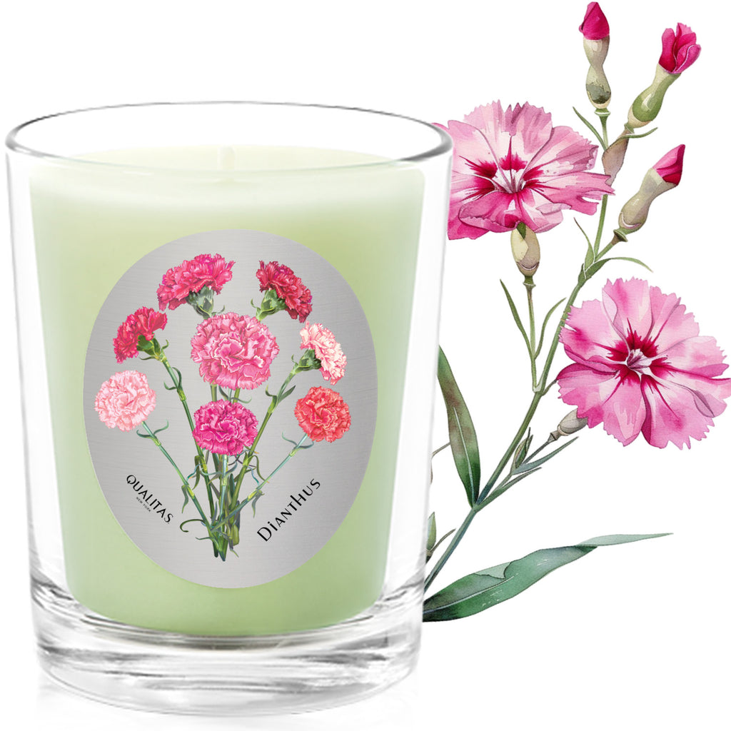 Dianthus - Qualitas Candles 