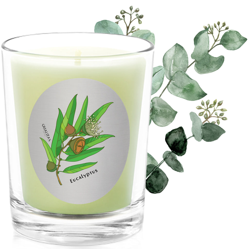 Eucalyptus - Insect repellent - Qualitas Candles 