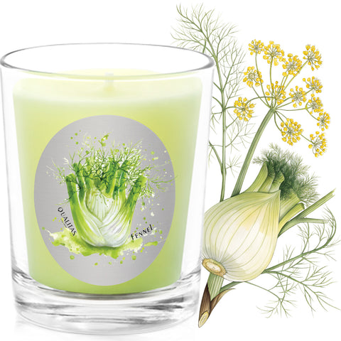 Fennel - Insect repellent