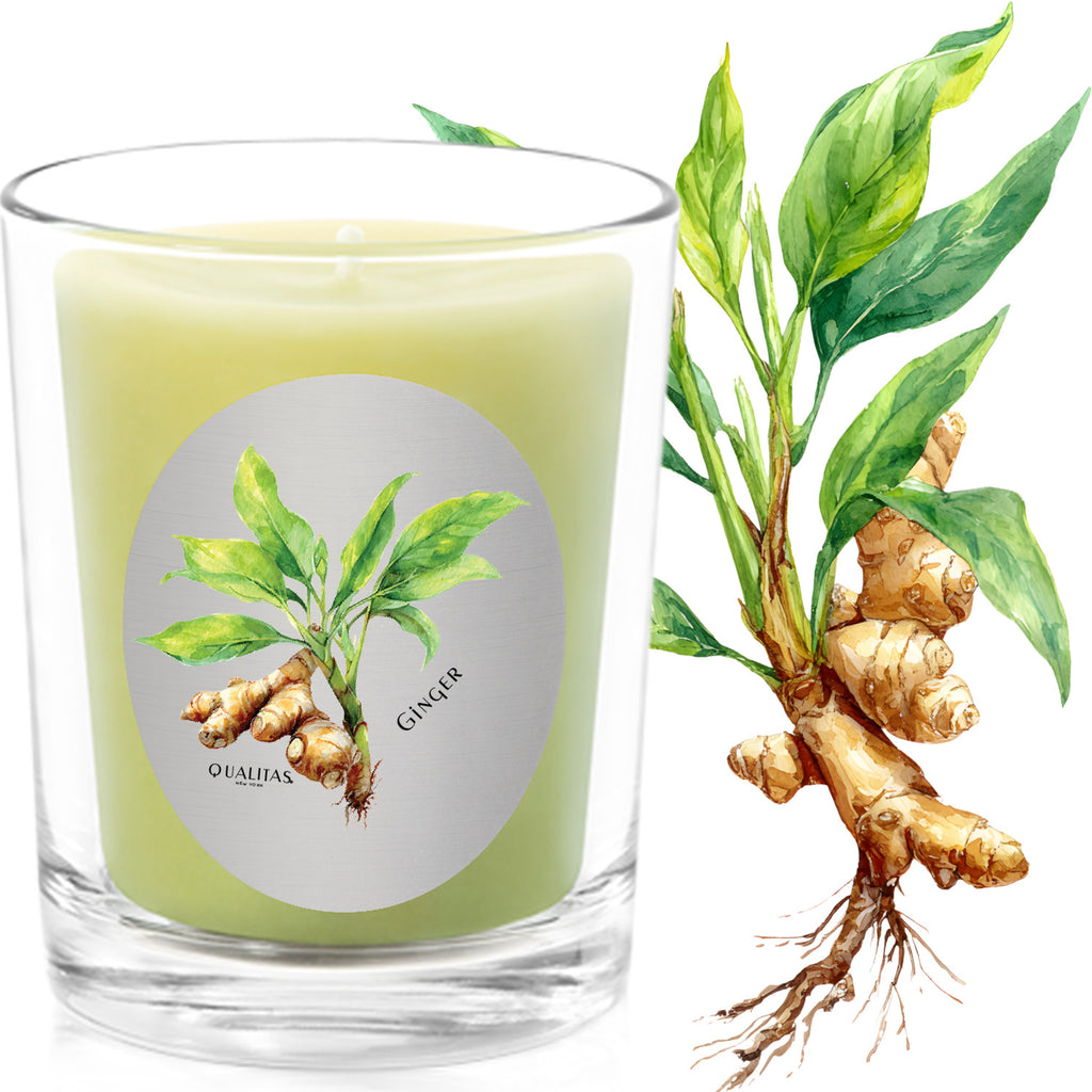 Ginger - Insect repellent