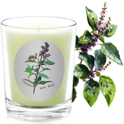 Basil - Insect Repellent - Qualitas Candles 