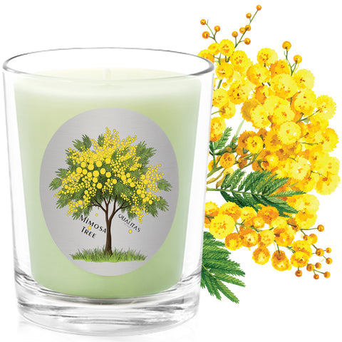 Mimosa Tree - Qualitas Candles 