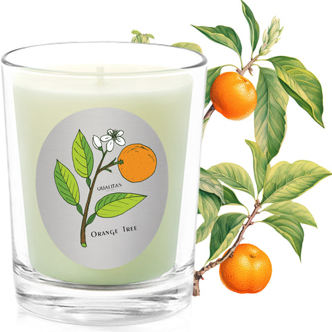 Orange Tree - Insect Repellent