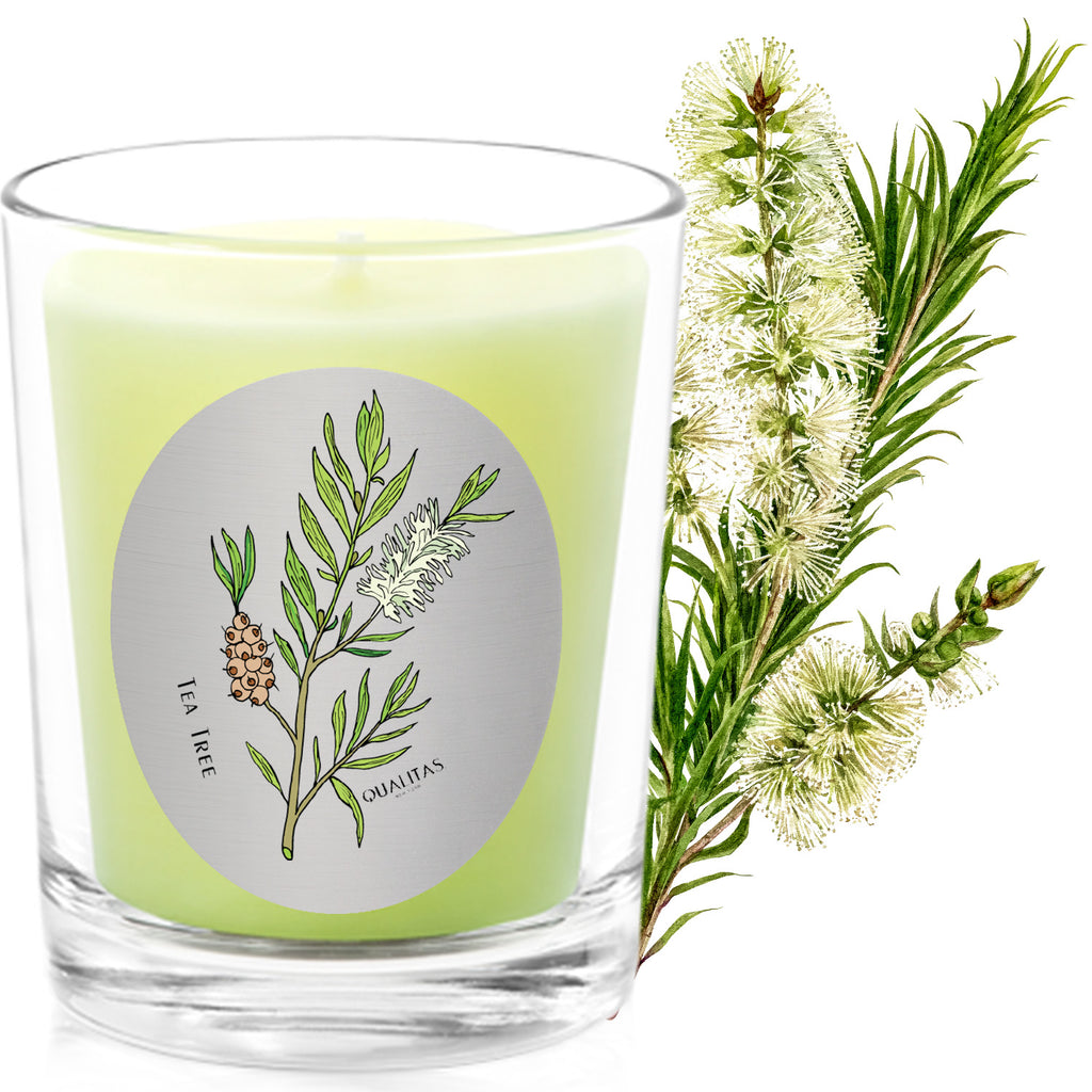 Tea Tree - Insect Repellent
