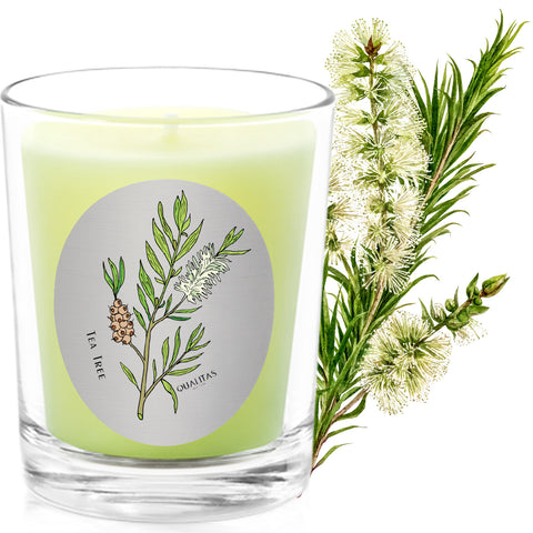 Tea Tree - Insect Repellent