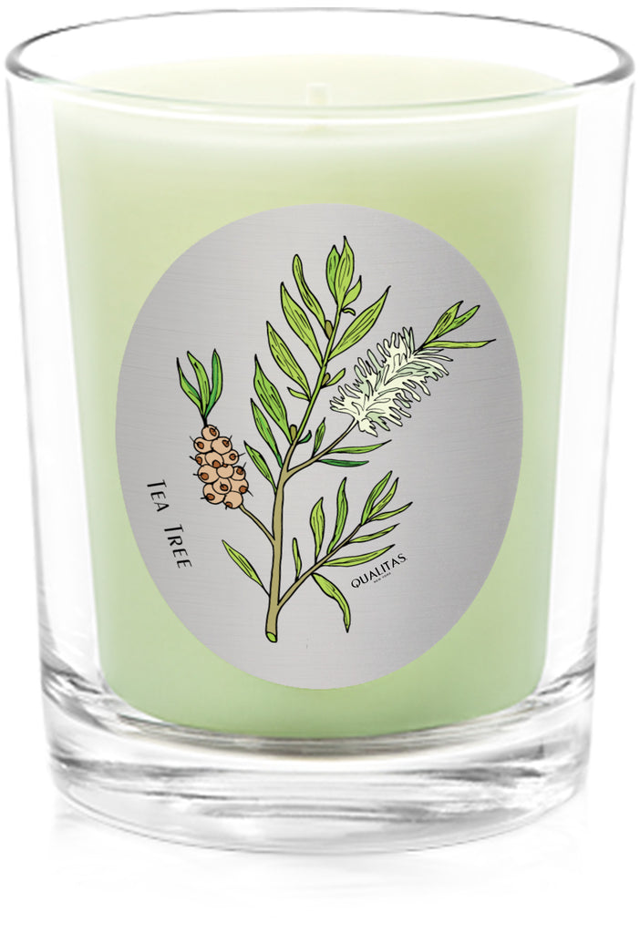 Tea Tree - Insect Repellent