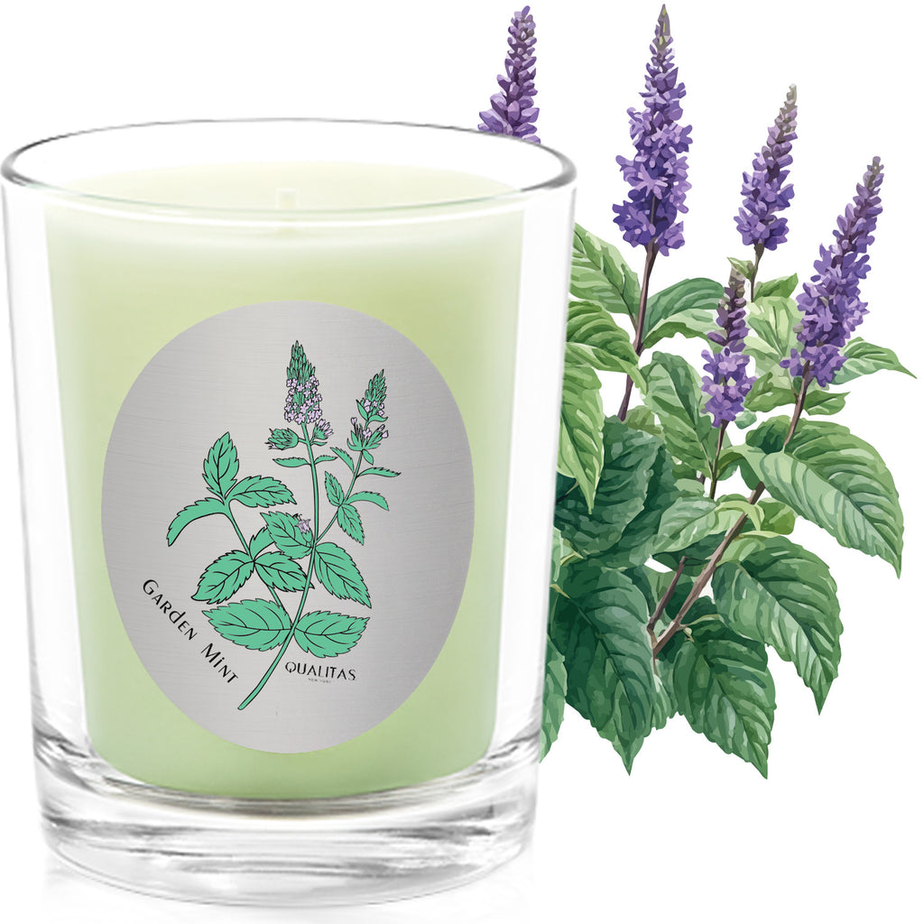 Garden Mint - Insect repellent