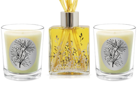 Candle & Diffuser Set - Fir Needle. - 100% Pure Beeswax Candles Made in USA | Qualitas Candles 