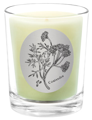 Coriander - 100% Pure Beeswax Candles Made in USA | Qualitas Candles 