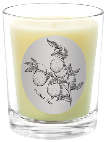 Orange Tree - 100% Pure Beeswax Candles Made in USA | Qualitas Candles 