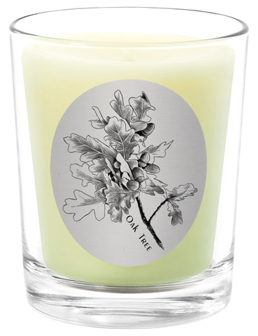 Oak Tree - 100% Pure Beeswax Candles Made in USA | Qualitas Candles 