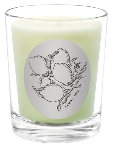 Lemon Tree - 100% Pure Beeswax Candles Made in USA | Qualitas Candles 
