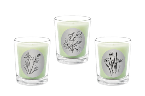 Candle Set - Sugarcane, Sweet Pea, Paperwhite. - 100% Pure Beeswax Candles Made in USA | Qualitas Candles 