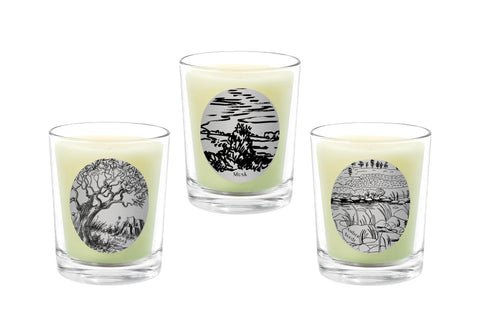 Candle Set - Amber, Musk, Amber Suede - 100% Pure Beeswax Candles Made in USA | Qualitas Candles 