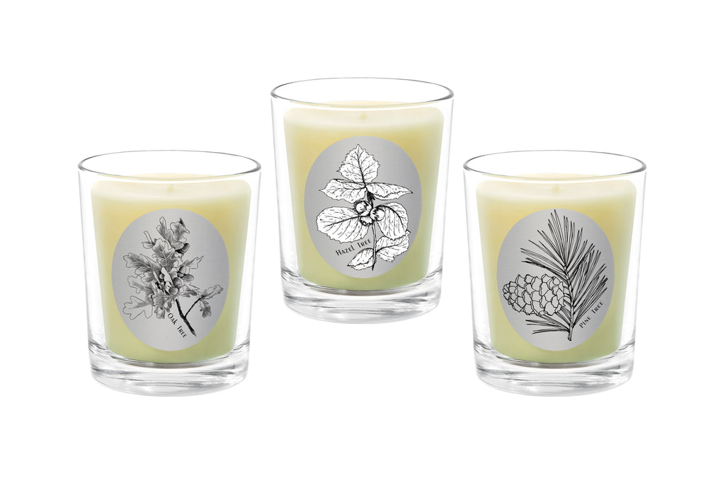Candle Set - Oak Tree, Hazel Tree, Pine Tree. - 100% Pure Beeswax Candles Made in USA | Qualitas Candles 