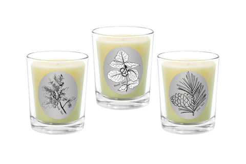 Candle Set - Oak Tree, Hazel Tree, Pine Tree. - 100% Pure Beeswax Candles Made in USA | Qualitas Candles 