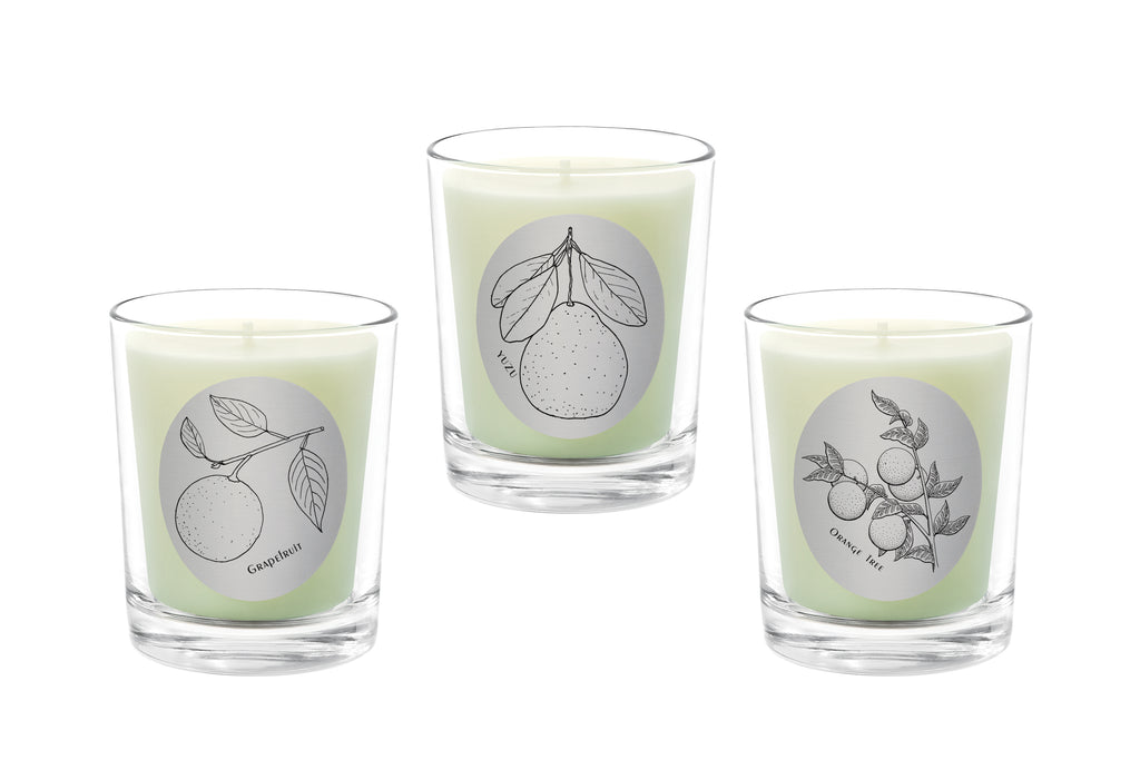 Candle Set - Desert  Lime, Bergamot, Lemon Tree. - 100% Pure Beeswax Candles Made in USA | Qualitas Candles 