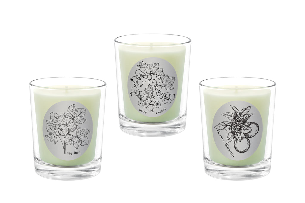 Candle Set - Fig Tree, Black Currant, Orange Blossom. - 100% Pure Beeswax Candles Made in USA | Qualitas Candles 