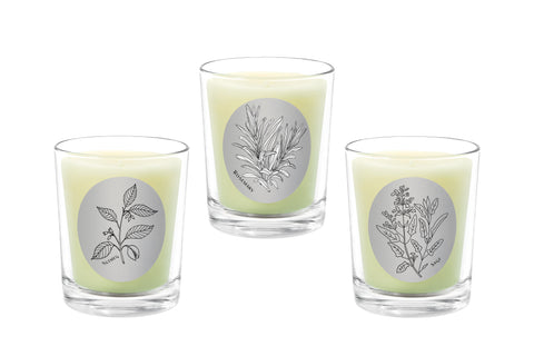 Candle Set - Nutmeg, Rosemary, Sage. - 100% Pure Beeswax Candles Made in USA | Qualitas Candles 