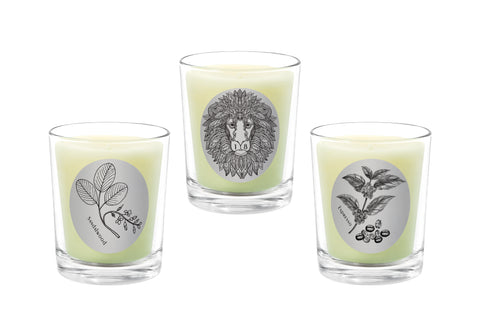 Candle Set - Sandalwood,18 Library Way, Espresso. - 100% Pure Beeswax Candles Made in USA | Qualitas Candles 